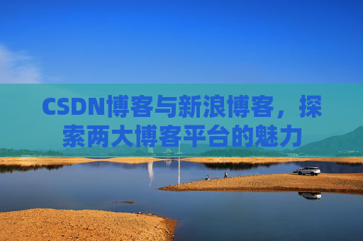 CSDN博客与新浪博客，探索两大博客平台的魅力
